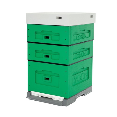 Lyson alveare dadant - lyson, bottino