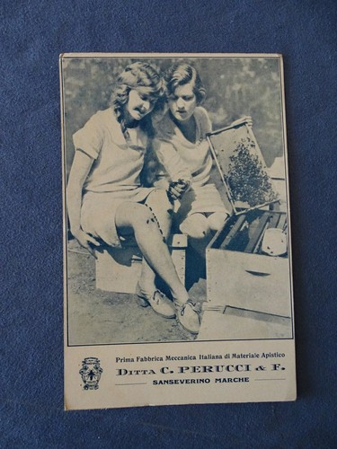 CARTOLINA