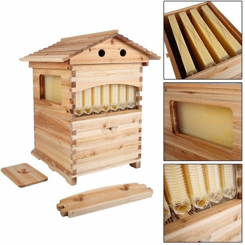 Alveari automatici beehive - automatici,