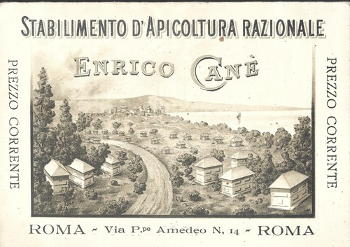 Cartoncino catalogo enrico - cartoncino,
